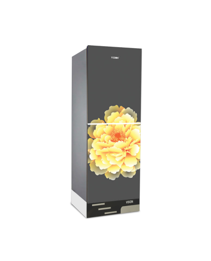 VSN GD Refrigerator RE-252L Mirror Blooming FL-BM